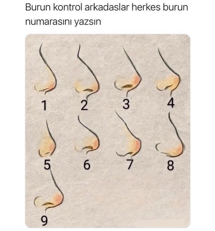 Bende 9 numara