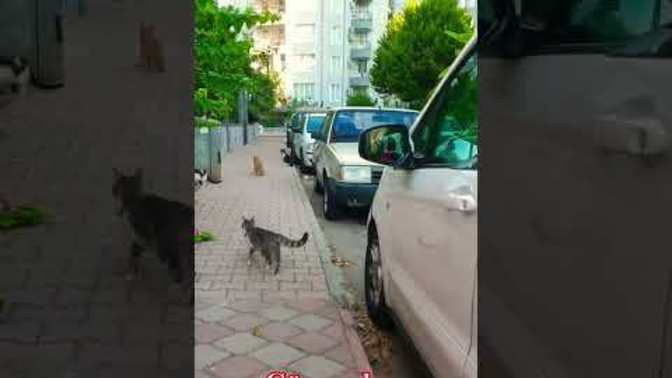 En son gerçekten hayal kırıklığına ne zaman ve kim tarafından uğradın?