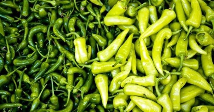 Acı biber sever misiniz? 🌶️?