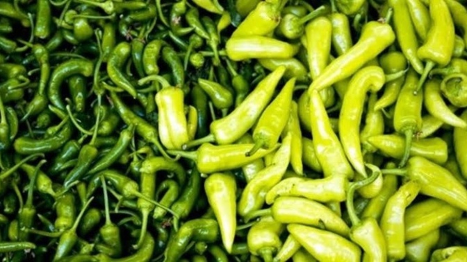 Acı biber sever misiniz? 🌶️?