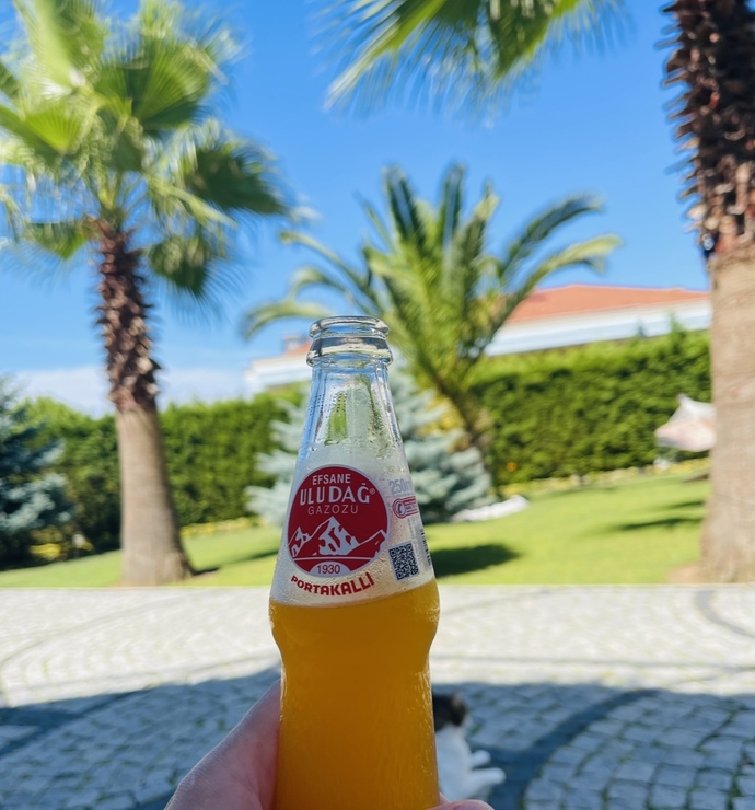 Sıcak havalarda en çok seni ne serinletiyor?