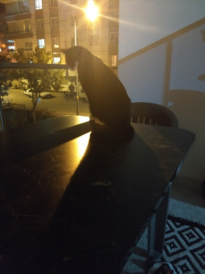 Kadınlar neye aşık olur?