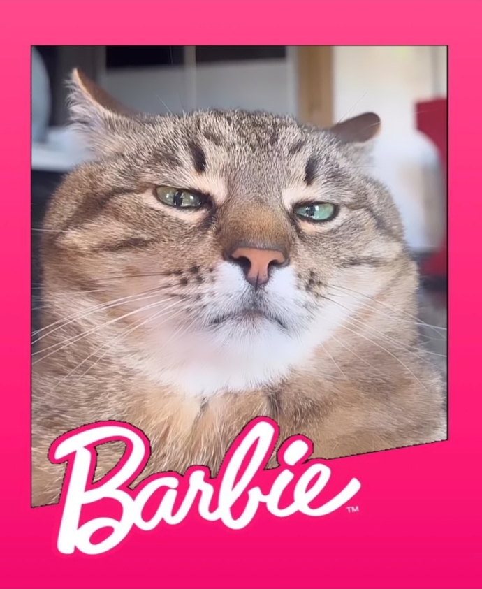 Şu barbieye şımarık diyolar 🥹🥹🥹