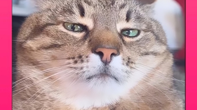Senin hangi özelliğin çekilmez ve illallah ettirir?