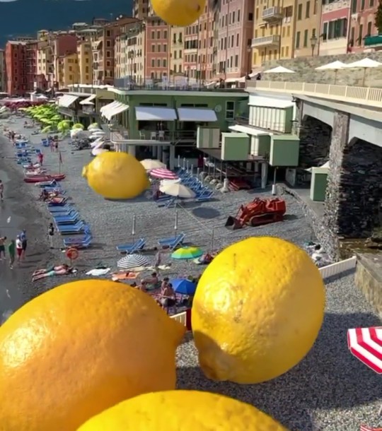 Size limonlu ne yapmamı isterdiniz?