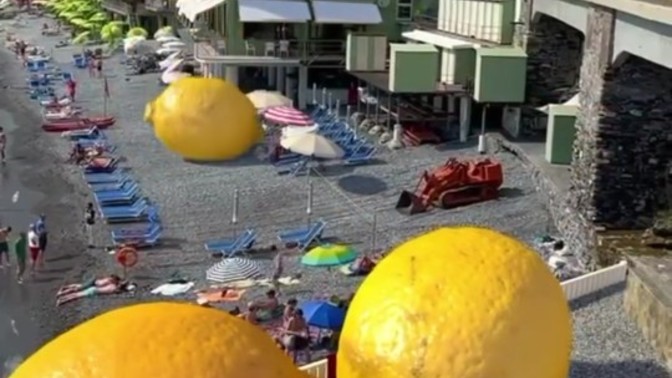 Size limonlu ne yapmamı isterdiniz?
