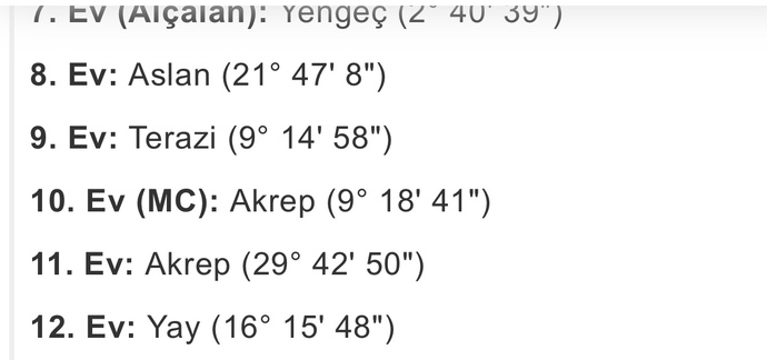 Dogum hartiasima bakar mısınız hic bisey anlamiyorum🥺?