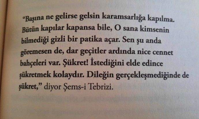 Her daim içinde umutlar barındıran biri misiniz yoksa çabuk vazgeçen biri mi?