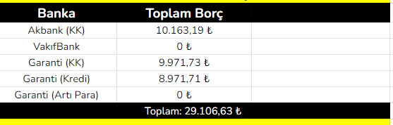 Toplam borcunuz ne kadardır?