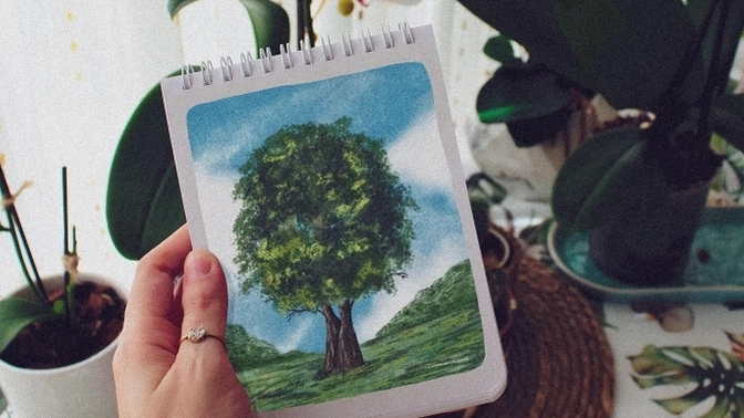Deniz manzarası mı yoksa orman manzarası mı seversiniz? 🌊🌳?