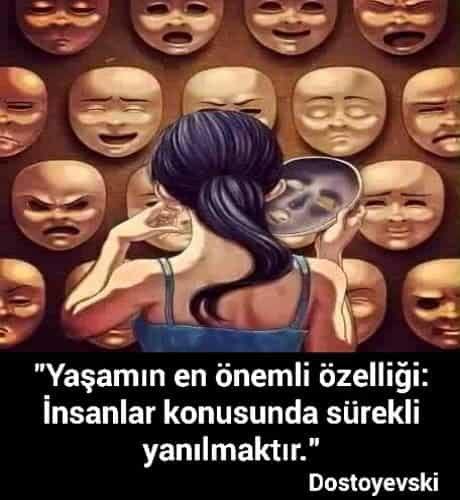 Demiş