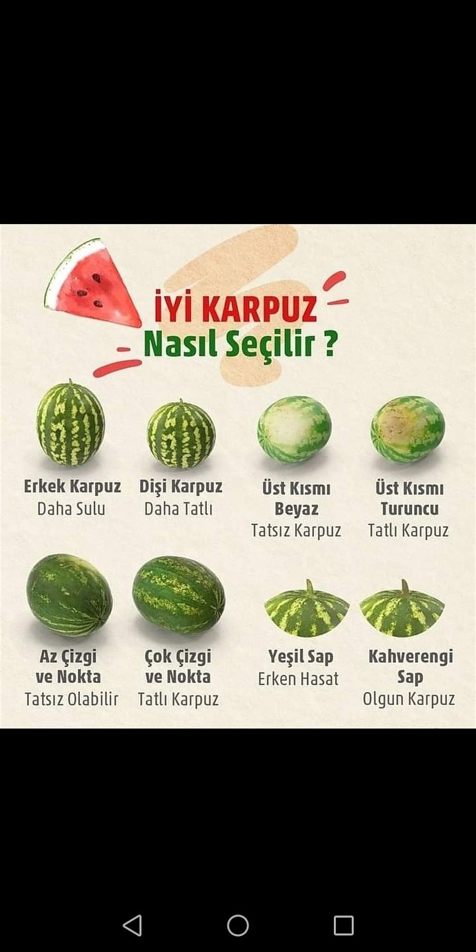 Bugün Dünya Karpuz Günü! İyi seçmece karpuz nasıl olur?