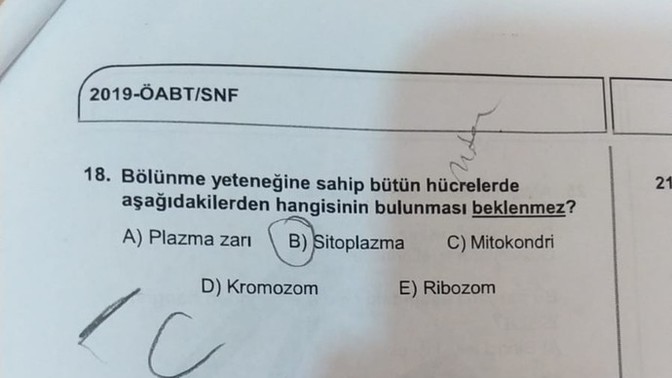 Biyoloji bilen birisi yardımcı olabilir mi?