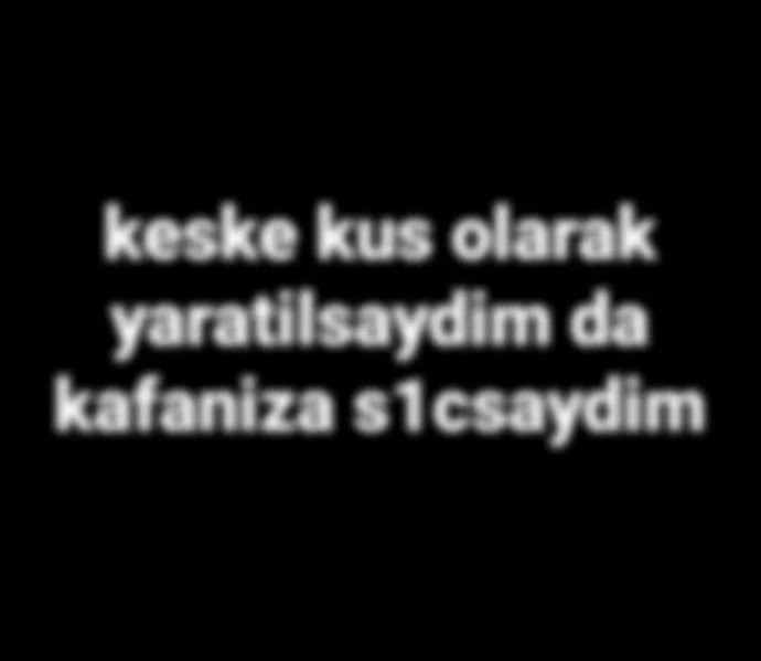 Bir hayvan olma şansınız olsa hangisi olmak isterdiniz?