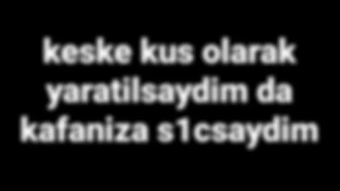 Bir hayvan olma şansınız olsa hangisi olmak isterdiniz?