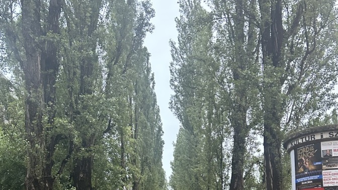 Herkese selamlar? Yurtdışında yaşayan ya da yaşamak isteyen var mı?