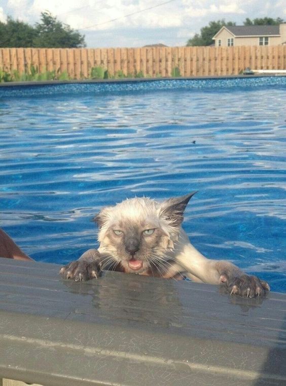 Serinlemek için neler yapıyorsun?