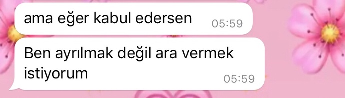 1,5 yıllık ilişkimiz var, sevgilim sabah bu mesajları yazmış. Ara vermek ne alaka?