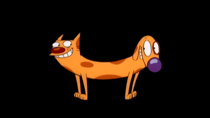 Köpek mi yoksa kedi mi?