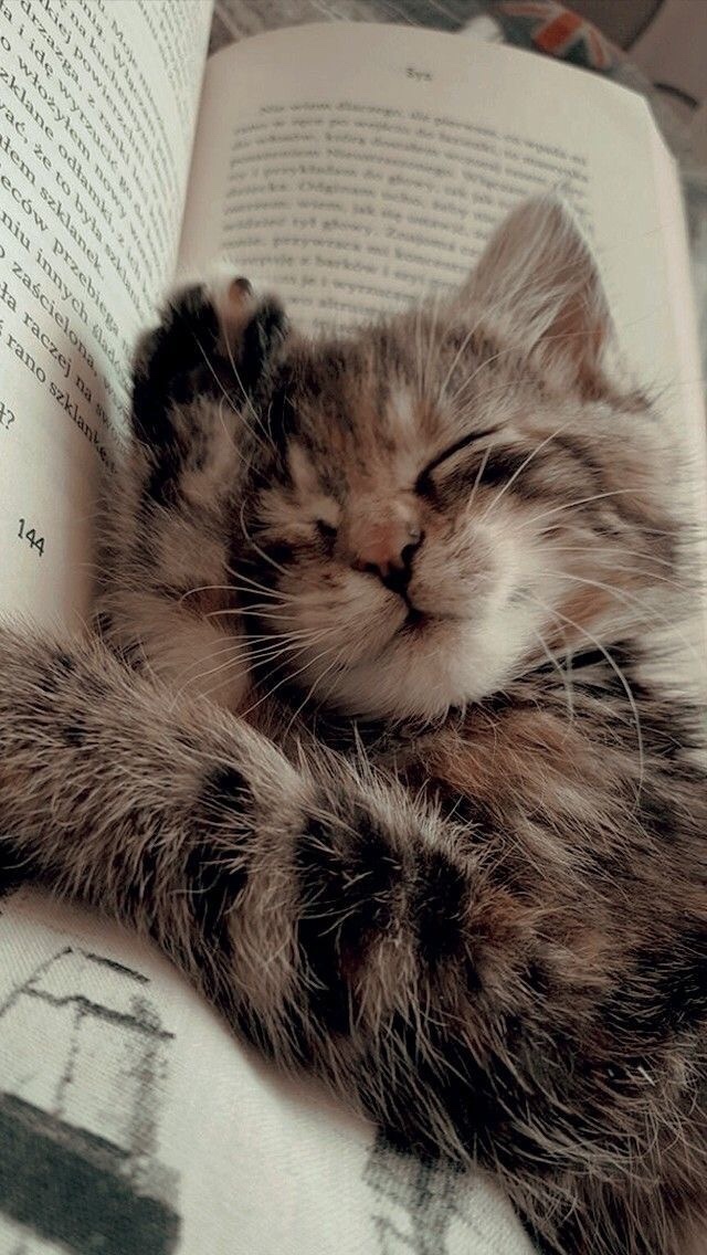 Sizce mutlu olmanın sırrı nedir?