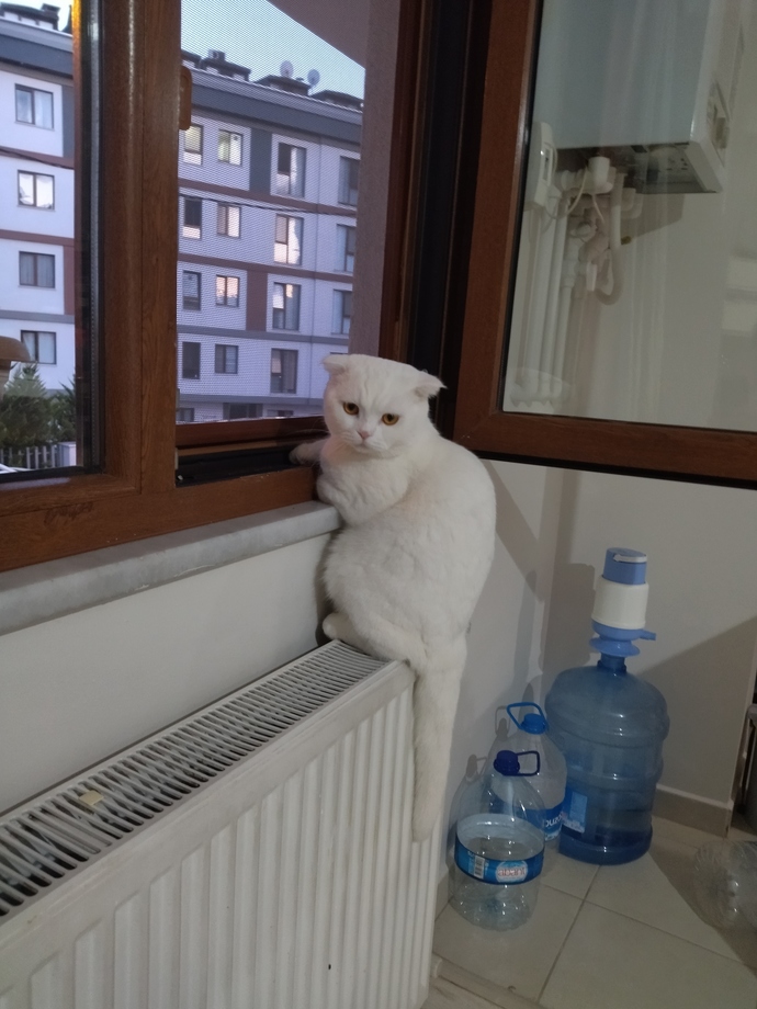 Sizce mutlu olmanın sırrı nedir?
