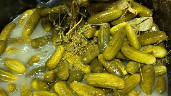 Sevgilin hadi turşucuya gidelim, turşu yiyelim ardından turşu suyu içelim dese ne dersin?
