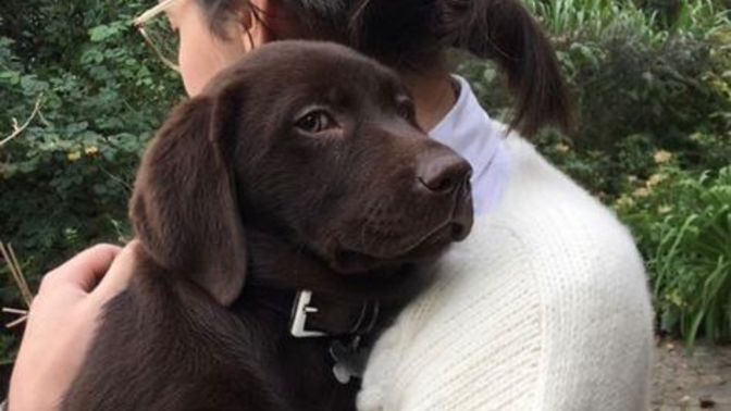 Köpeğime hangi ismi vermeliyim?
