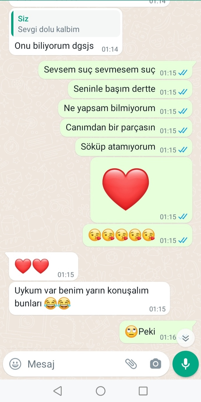 Aşkımın peşinden koşmalı mıyım?