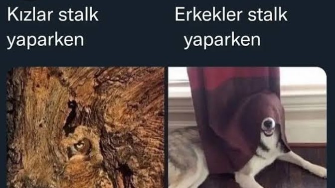 Stalk konusunda erkekler mi yoksa kadınlar mı daha profesyonel😛?