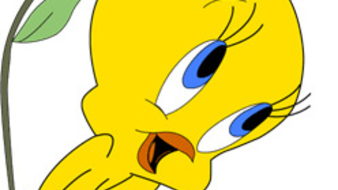 Tweety Erkek mi Dişi mi?