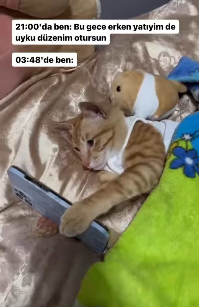 Uyku düzenin var mı? Dikkat ediyor musun uykuna?