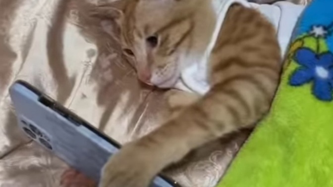 Uyku düzenin var mı? Dikkat ediyor musun uykuna?