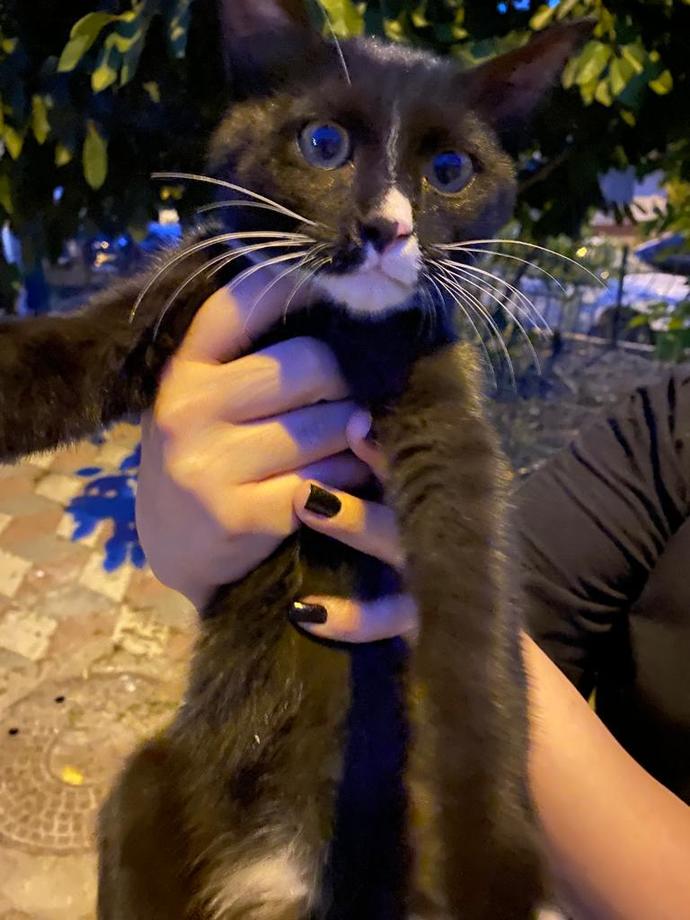 En son ne için pişmanlık duydunuz?
