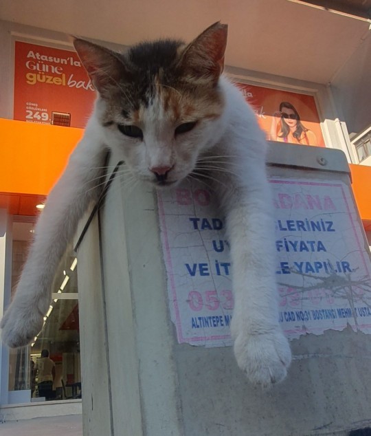 En son ne için pişmanlık duydunuz?