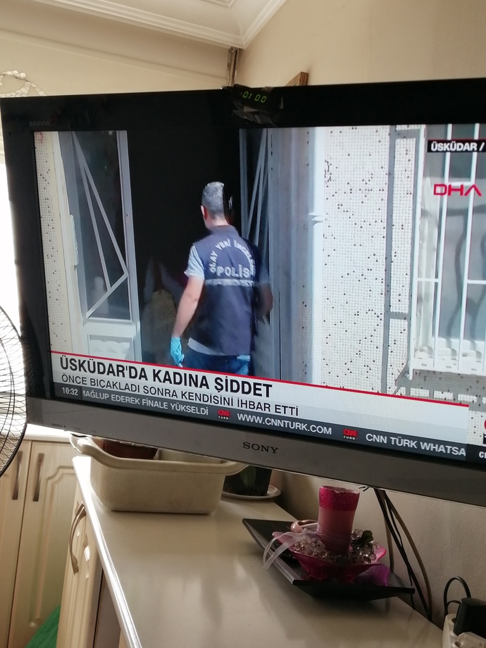 Dövüş eğitimleri zorunlu olmalı mı?