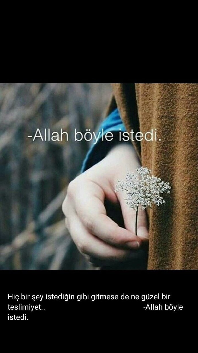 Sözlerin canı var mı?