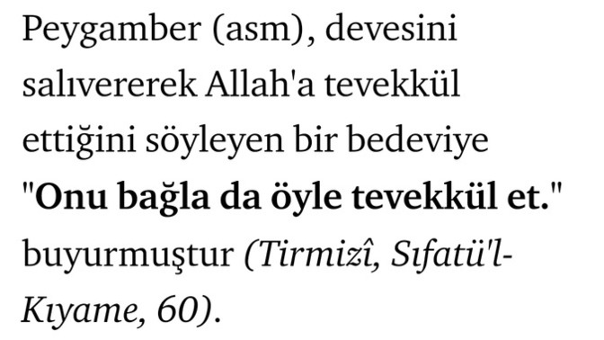 Milliyetçiler ülkeleri için savaşırken, Müslümanlar neden Mescidi Aksa için savaşmaz?