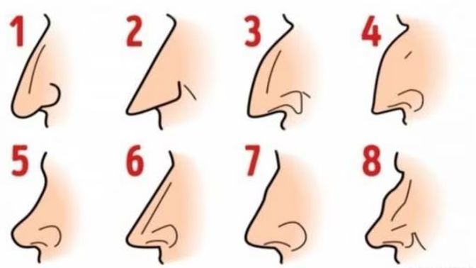 Sizce burnunuzun şekli karakterinizi gösteriyor mu?