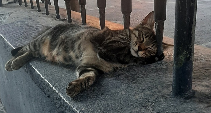 Ben bildiğin böyle 😍🤣