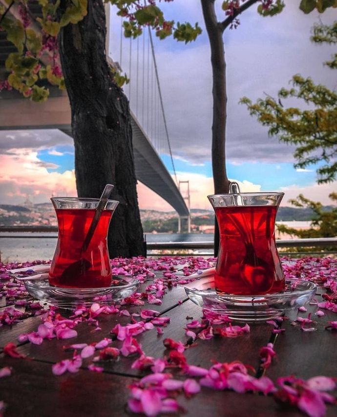 Günaydın.. ☀️