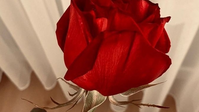 Sizce sevilmemek mi çok kötü yoksa anlaşılmamak mı?