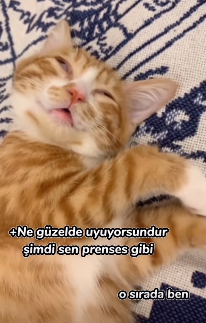 Sevdiceğini uyurken izledin mi hiç?