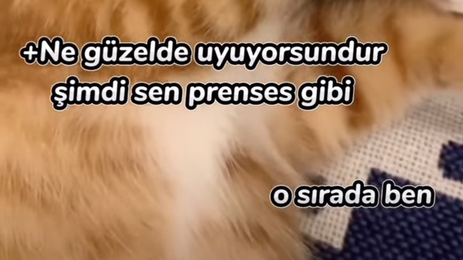 Sevdiceğini uyurken izledin mi hiç?
