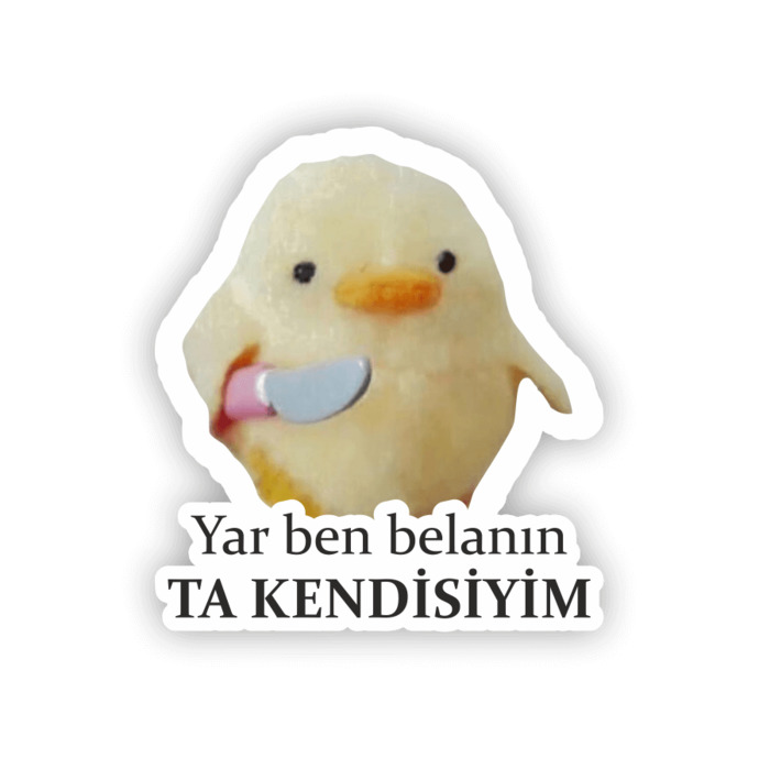 Tatlı bela mısın, kara bela mı😛?