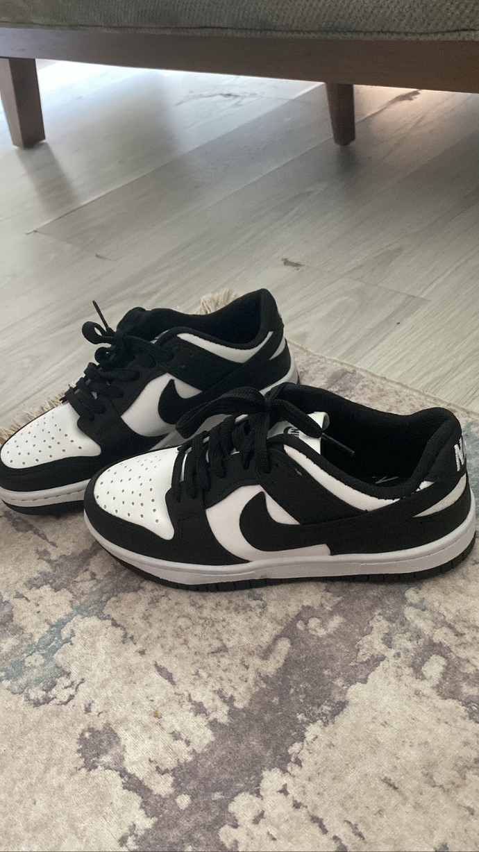 Nike ayakkabılarım güzel mi sizce?