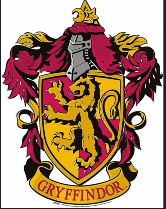 Hogwartsta birbirinden farklı 4 bina var. Peki, siz hangi binadansınız?