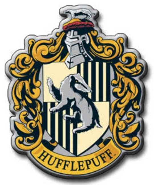 Hogwartsta birbirinden farklı 4 bina var. Peki, siz hangi binadansınız?