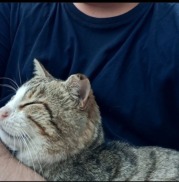 Size terapi gibi gelen neler var?