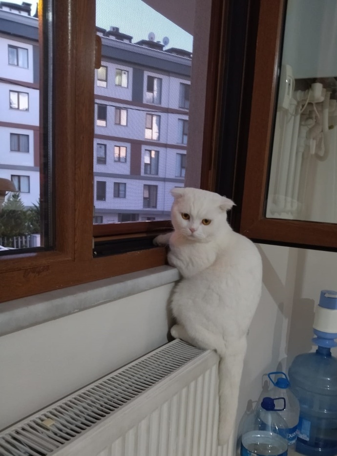 Size terapi gibi gelen neler var?
