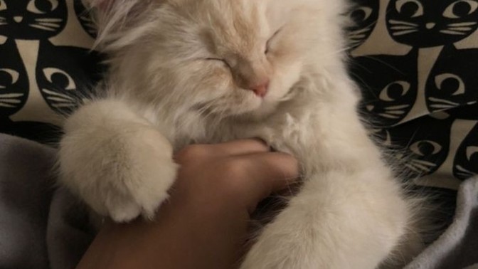 Size terapi gibi gelen neler var?